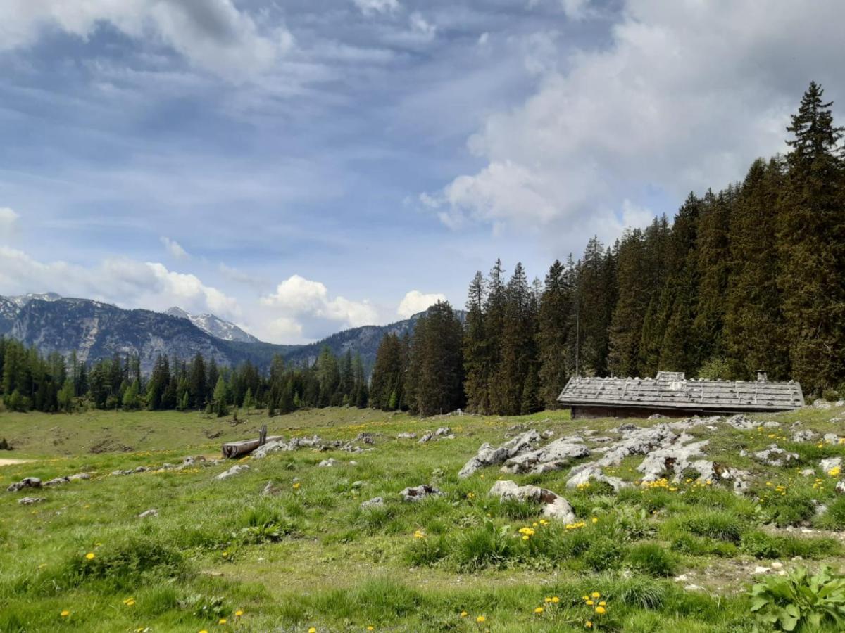 Vintage Kammerl Schönau am Königssee Exteriör bild