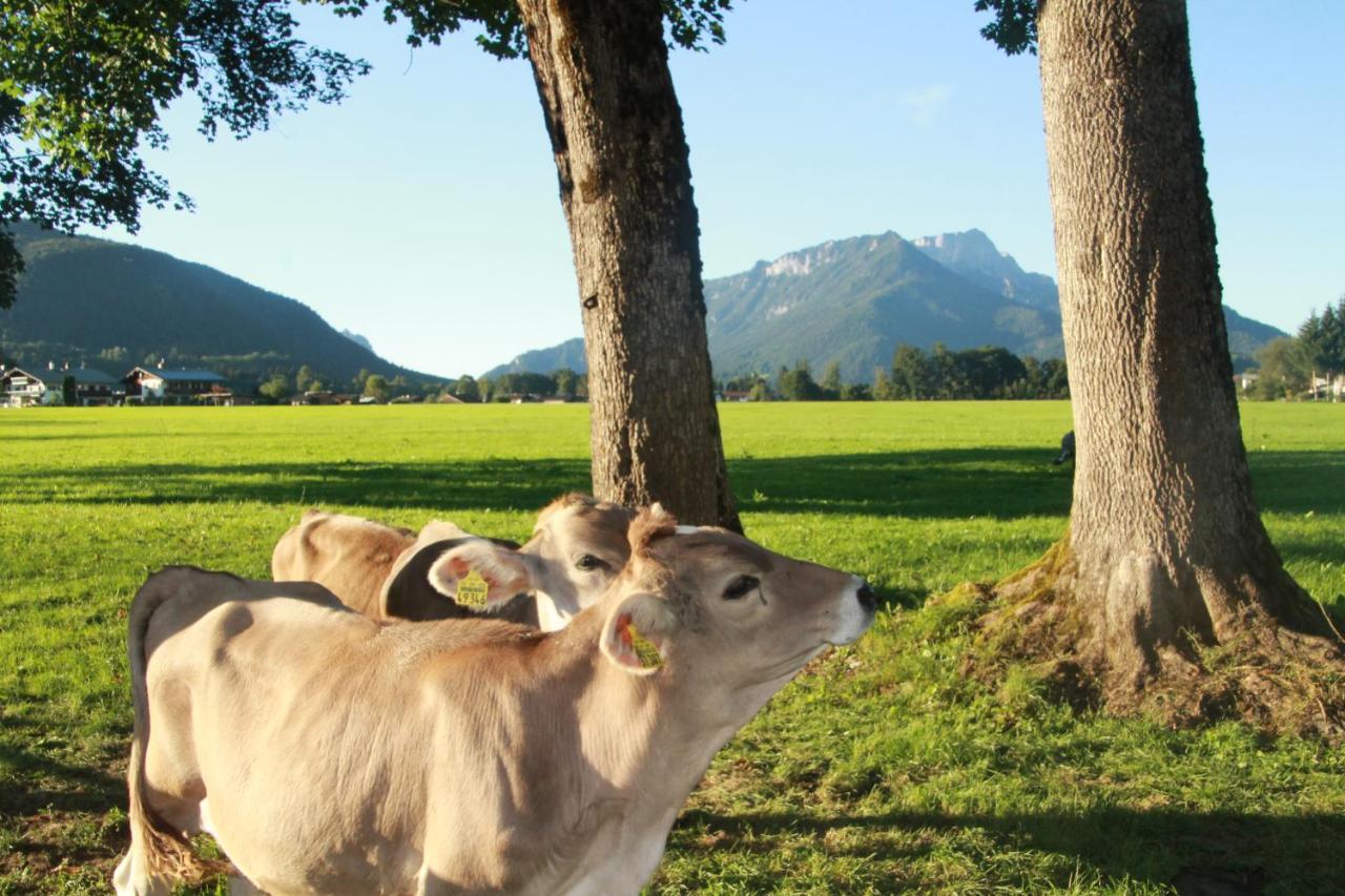 Vintage Kammerl Schönau am Königssee Exteriör bild